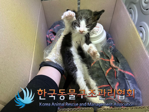 한국동물구조관리협회_411309202300096